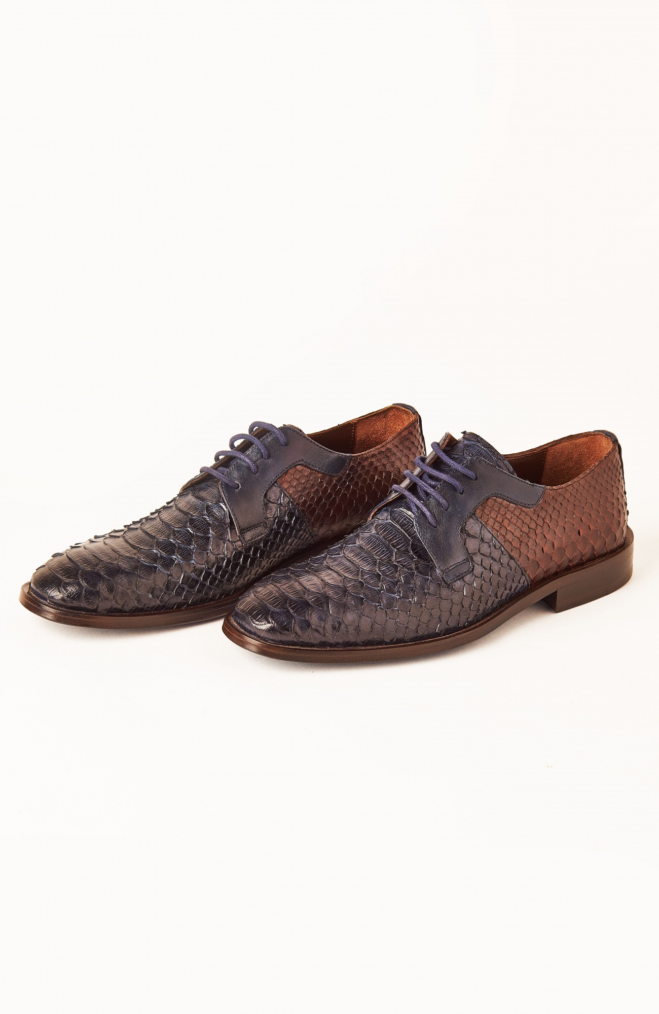 Дербі Cortigiano in Bottega